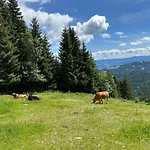 Berglisl - Direkt An Der Schipiste! Neue Mit Sauna *