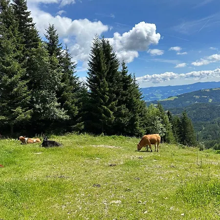 Berglisl - Direkt An Der Schipiste! Neue Mit Sauna *