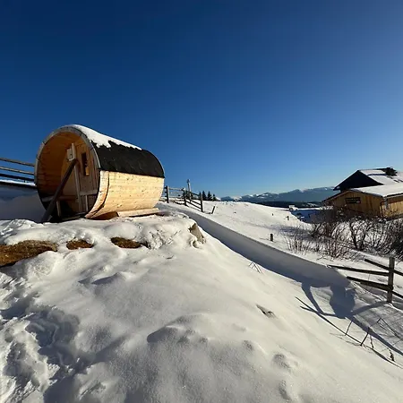 Berglisl - Direkt An Der Schipiste! Neue Mit Sauna Daire Klippitztorl