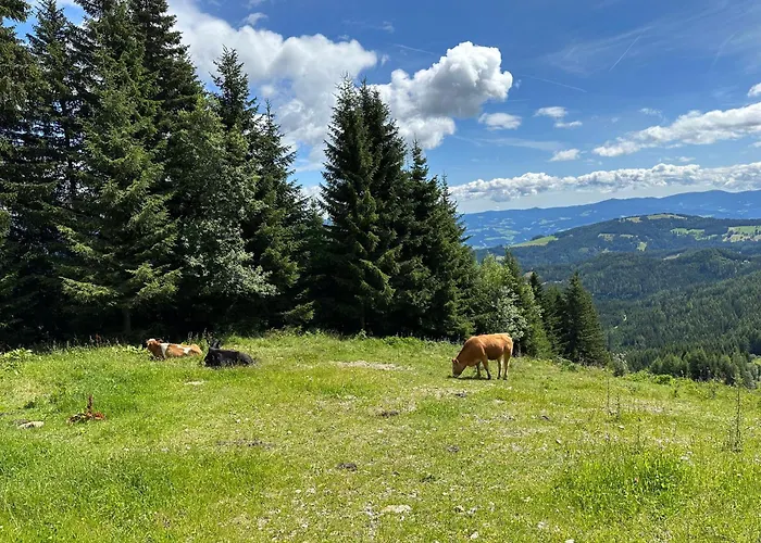 Berglisl - Direkt An Der Schipiste! Neue Mit Sauna *