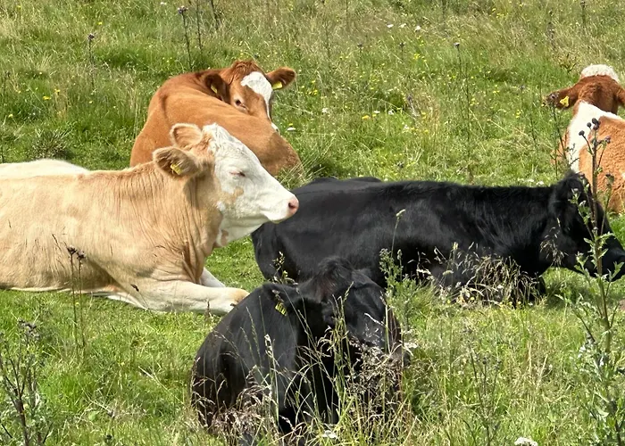 Berglisl - Direkt An Der Schipiste! Neue Mit Sauna
